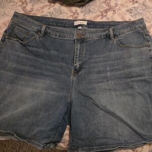 Lane Bryant Classic Blue Jeans